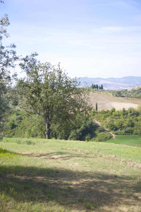 Il Fornello Villa Volterra Ngoại thất bức ảnh